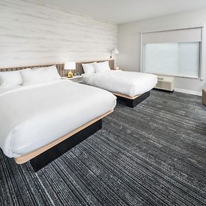Studio Two Queen Beds Roll Shower Mobility Accessible